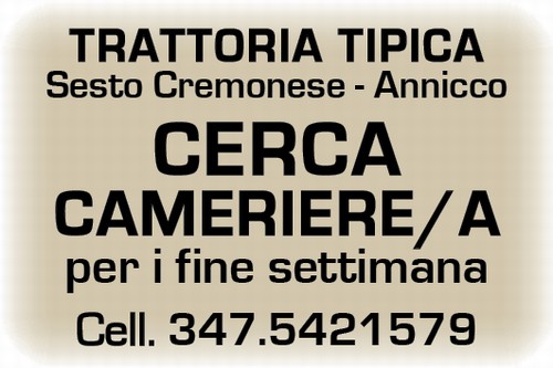 CERCA CAMERIERE/A